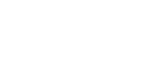 Ginis Consulting